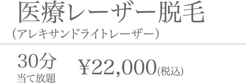 医療レーザー脱毛 (アレキサンドライトレーザー) 30分当て放題 ¥22,000(税込)